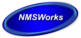 NMSWorks Software Pvt Ltd